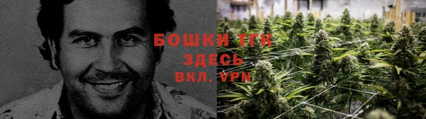 a pvp Няндома