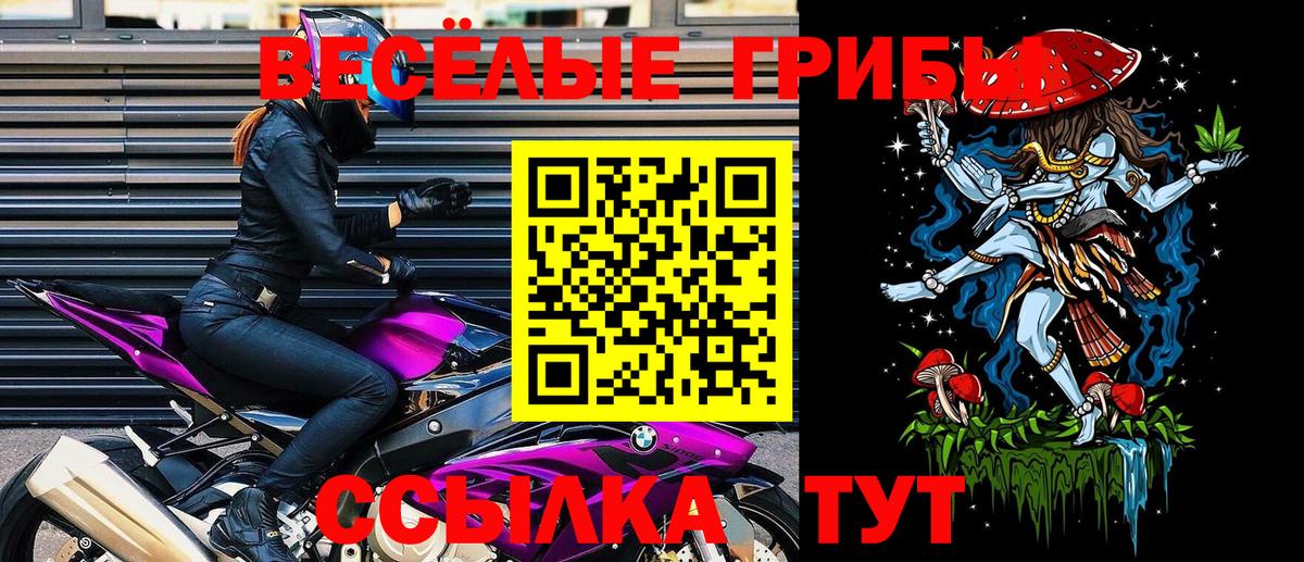 Галлюциногенные грибы ЛСД  Старая Русса  Галлюциногенные грибы Magic Shrooms 