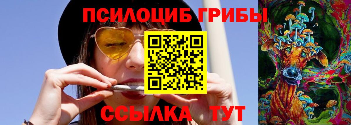 Псилоцибиновые грибы GOLDEN TEACHER Старая Русса