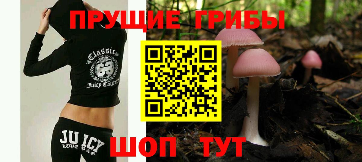 Галлюциногенные грибы мицелий  Вход с VPN  Старая Русса  Галлюциногенные грибы Psilocybine cubensis 
