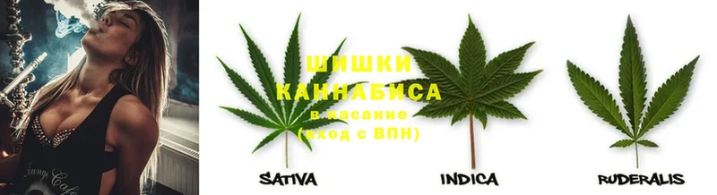 Бошки Шишки Ganja  купить наркотик  Старая Русса 