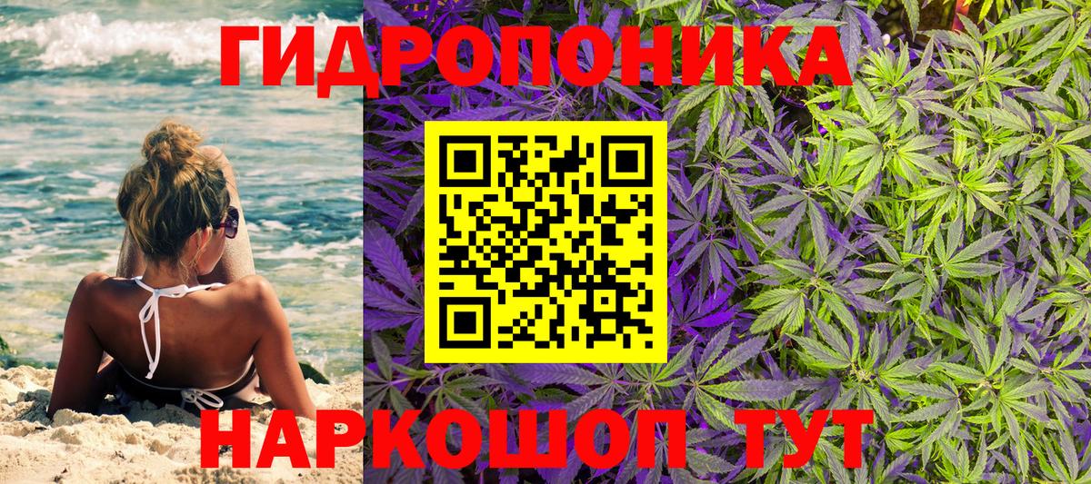 МАРИХУАНА OG Kush  Вход с VPN  Канабис MAZAR  Марихуана сатива  Старая Русса 